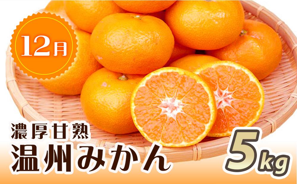 çŽå·åæå±±ç£æ¬ã®ãã«ãŒãã»ããïŒæ¡ã»å¹³æ žç¡æ¿ã»ã¿ããïŒãUT60ã