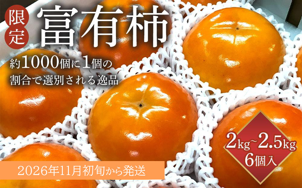 ［限定］ 富有柿 2kg〜2.5kg 6個入 至高の逸品 約1000個に１個！［先行予約］［2026年11月初旬頃から発送］［KG5］
