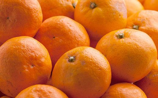 ［先行予約］家庭用 有田みかん2.5kg+250g（傷み補償分）［2026年10月初旬から2027年1月末日頃順次発送予定］［IKE248］