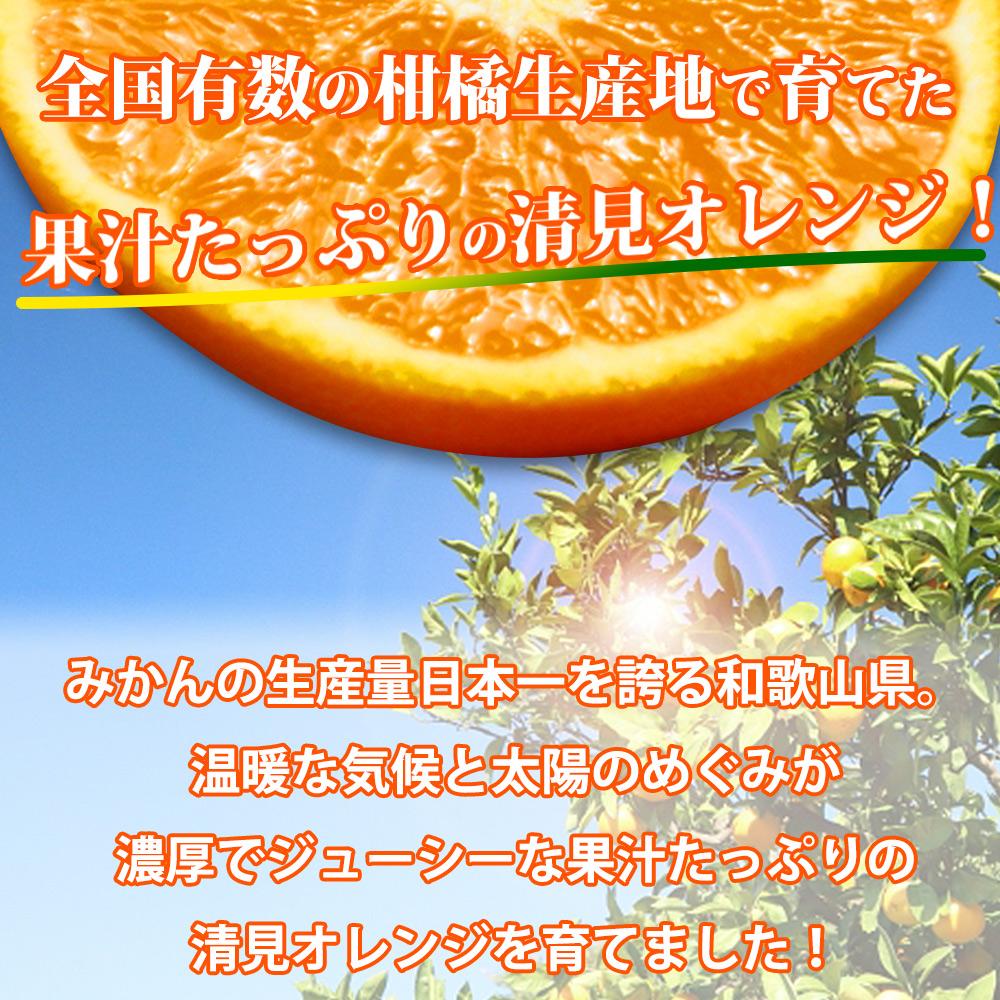 【ご家庭用訳あり】紀州有田産清見オレンジ 約5kg【2025年3月下旬以降発送】【先行予約】【UT132】