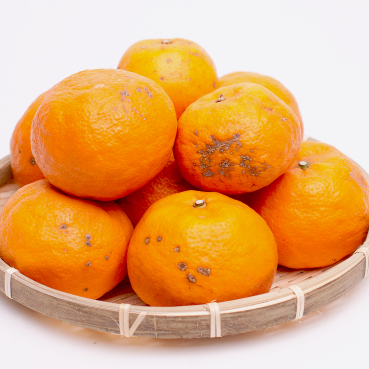 å®¶åºçš ã«ã©ãã³ããªã³10kg+250gïŒå·ã¿è£ååïŒïŒ»å接海ã»ãªã€ã¿ïŒœïŒ»åžå°ãªæ¥ææ©ïŒœïŒ»ããããã»èš³ããã¿ãããšåãããã«é£ã¹ãããŸãIKE69