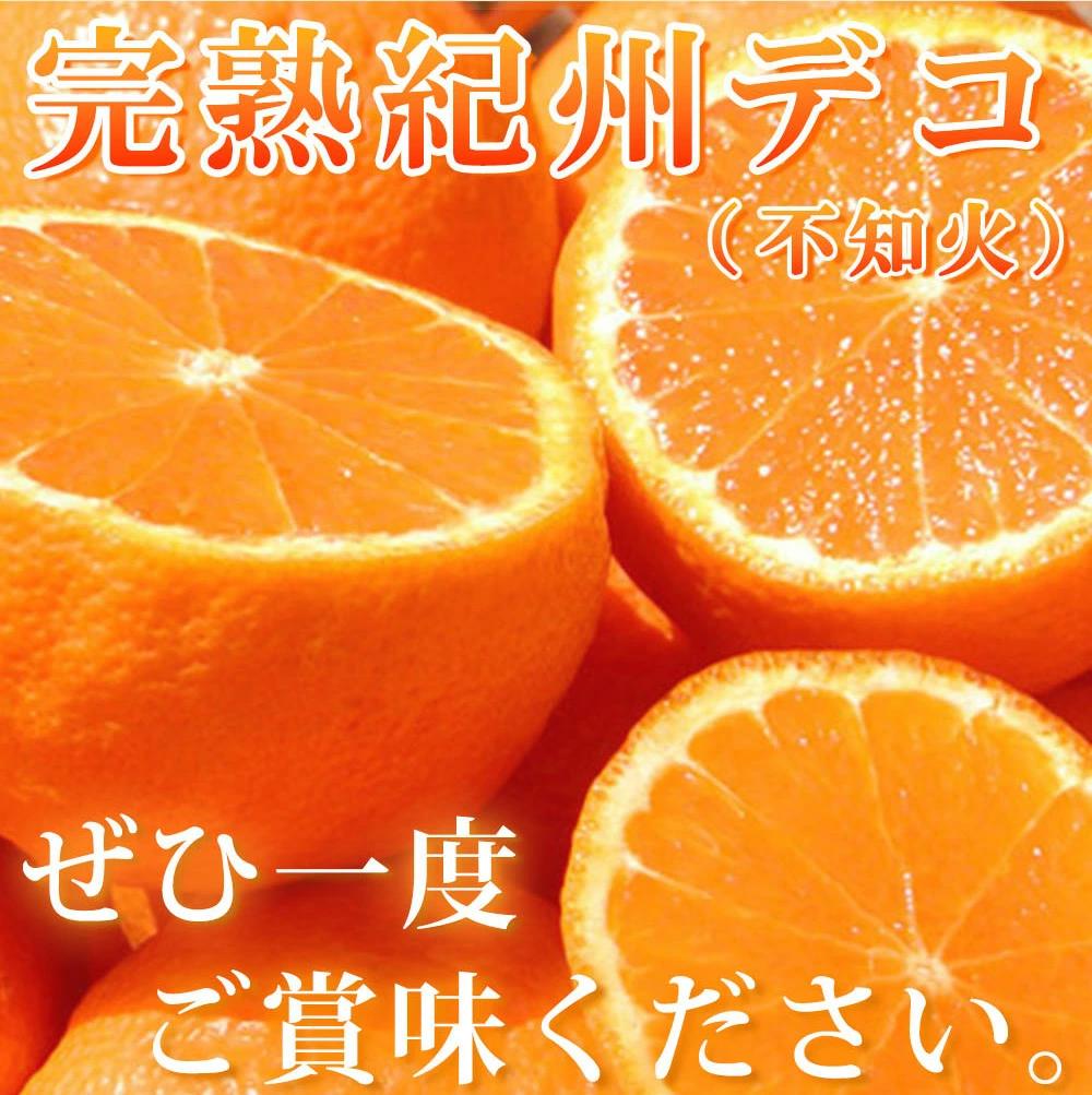 完熟紀州デコ(不知火) 約5kg　果肉プリプリ♪【2025年2月下旬以降発送】【先行予約】【UT43】