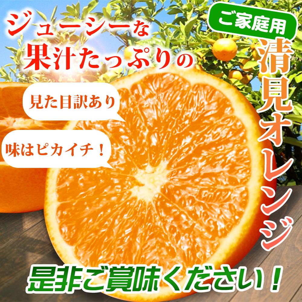 【ご家庭用訳あり】紀州有田産清見オレンジ 約5kg【2025年3月下旬以降発送】【先行予約】【UT132】