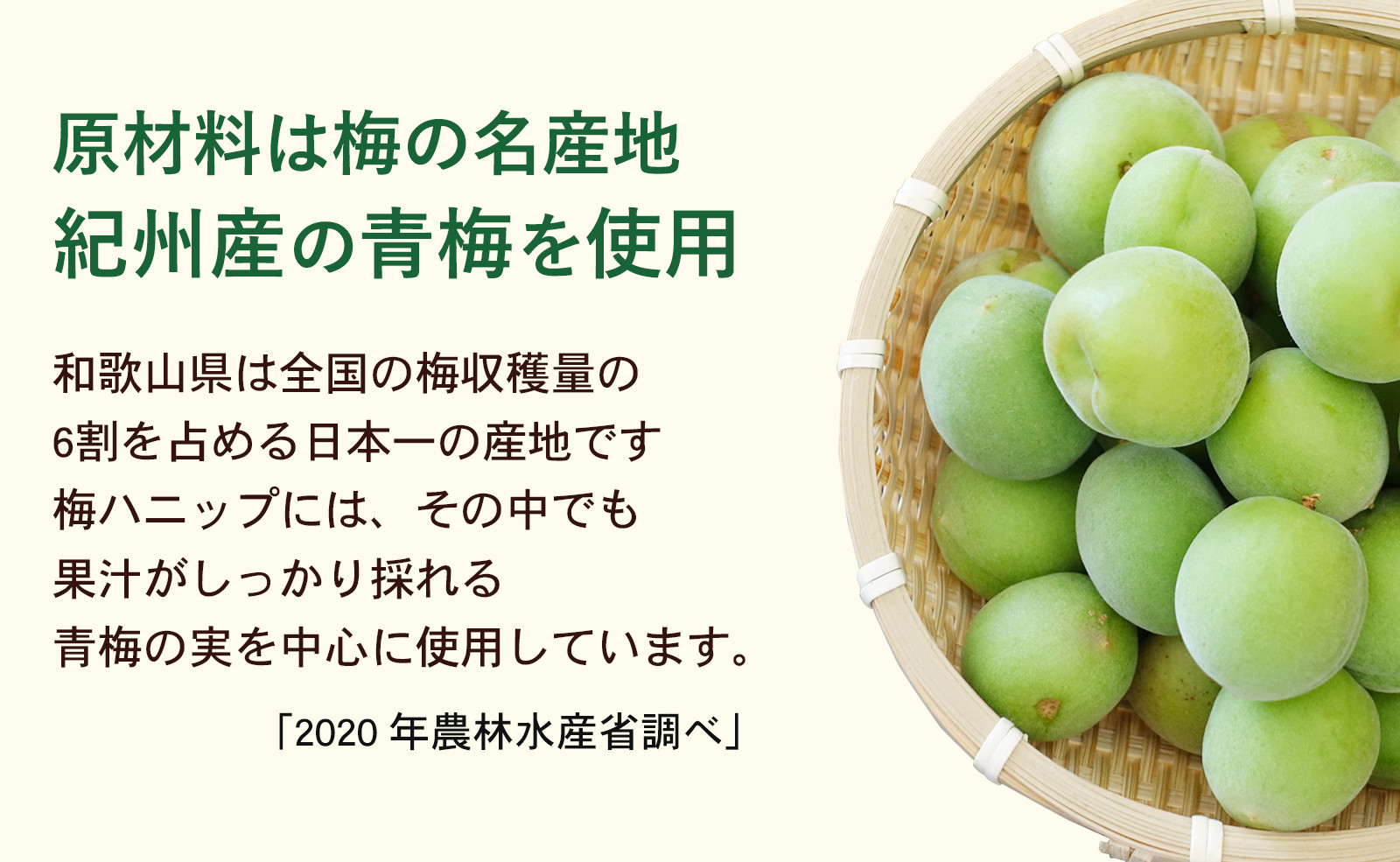 希釈用梅ドリンク 梅ハニップ 3本セット