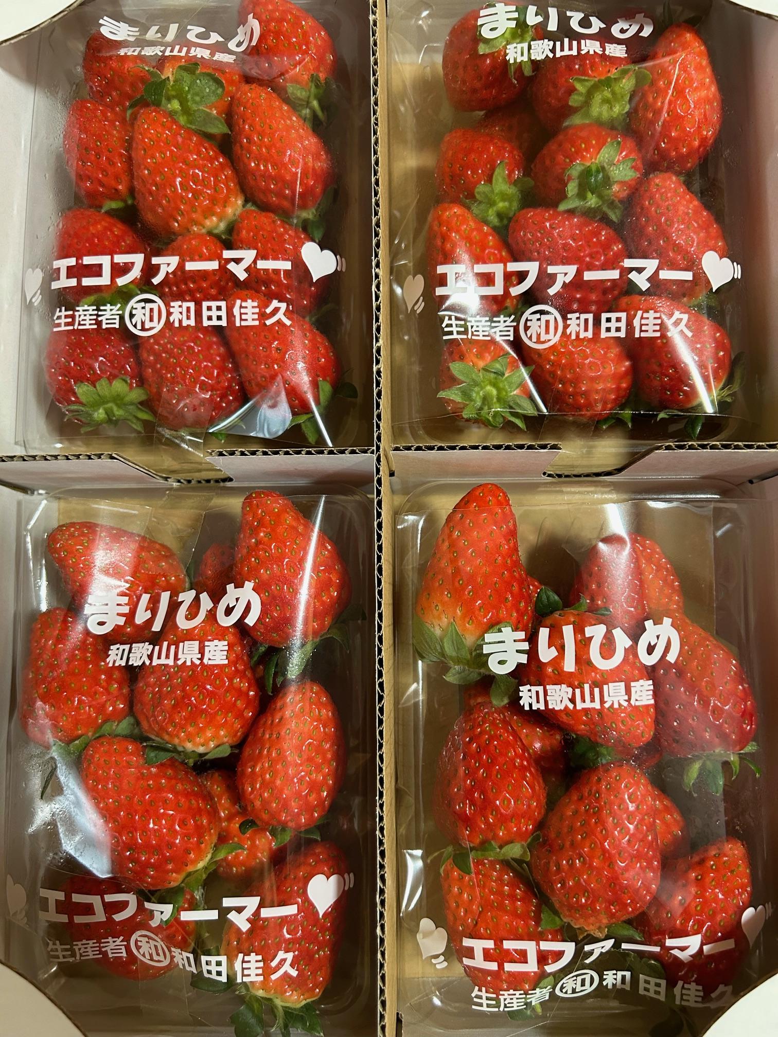 紀州和歌山ブランドいちご「まりひめ」約250g×4P 【2025年2月上旬頃～2025年3月下旬頃に順次発送】【UT39】