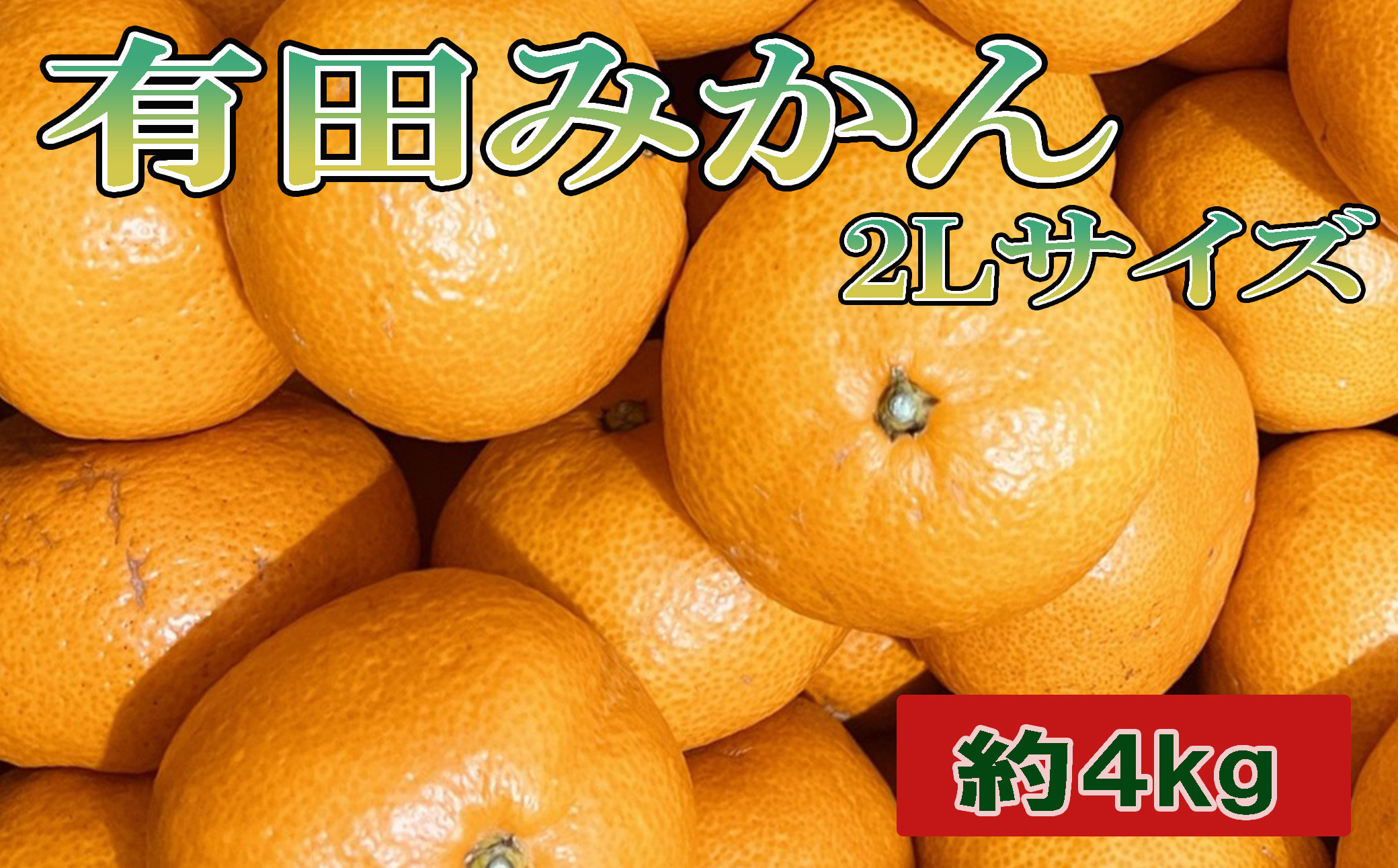 [秀品]和歌山有田みかん約4kg(2Lサイズ) ★2026年11月中旬頃より順次発送［TM199］