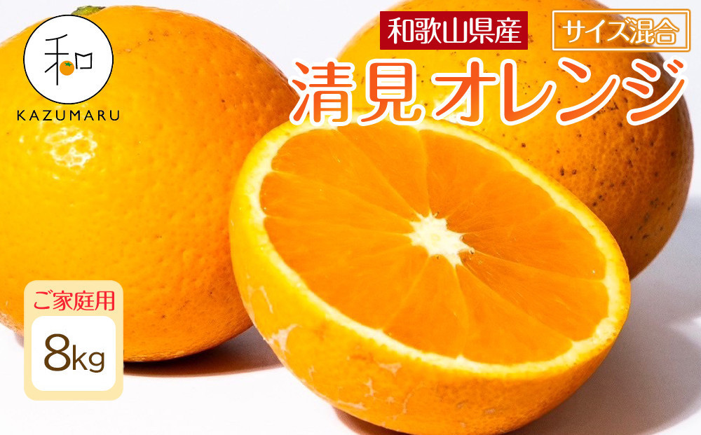 家庭用 森本農園の手選別 清見オレンジ 約8kg 和歌山県産 サイズ混合 ［北海道・沖縄・離島配送不可］［RN48］［2026年2月上旬から順次発送予定］