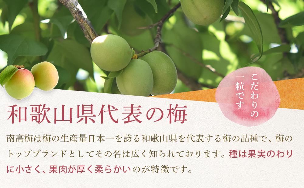 【2026年6月上旬以降発送】紀州南高梅(完熟梅) 10kg〈2Lサイズ〉