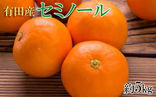 和歌山有田産セミノールオレンジ約5kg(サイズおまかせ　秀品) ★2024年4月中頃より順次発送【TM24】