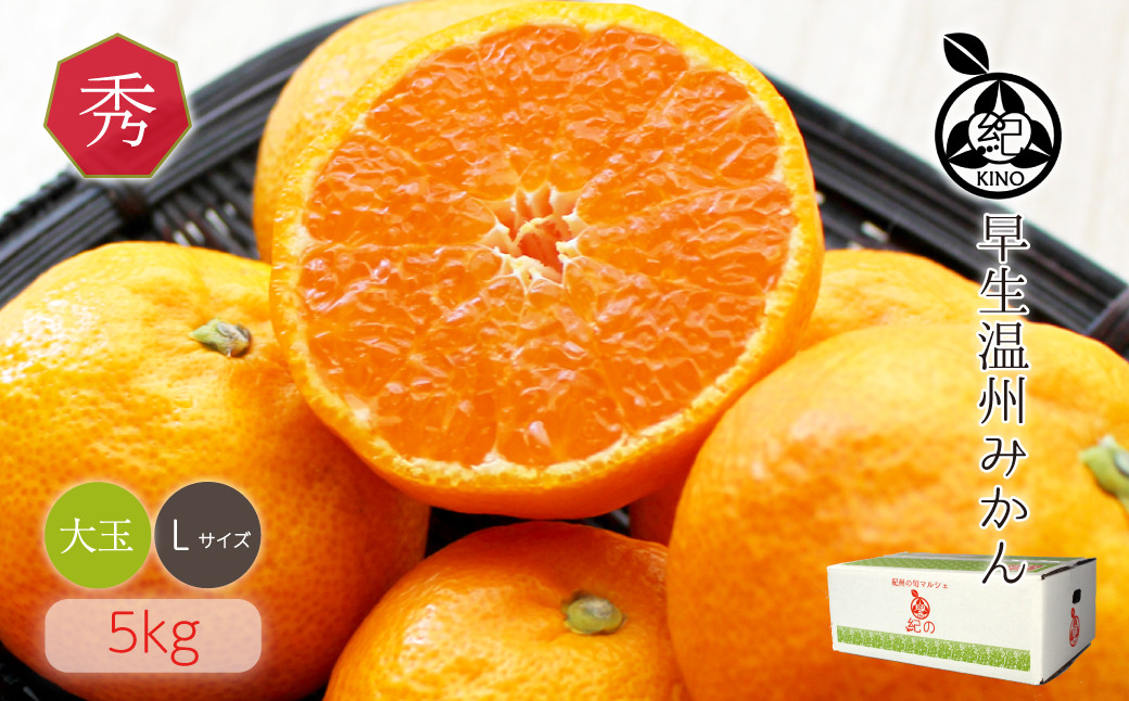 和歌山県産 早生温州みかん 秀品 Lサイズ 5kg [Sn6]