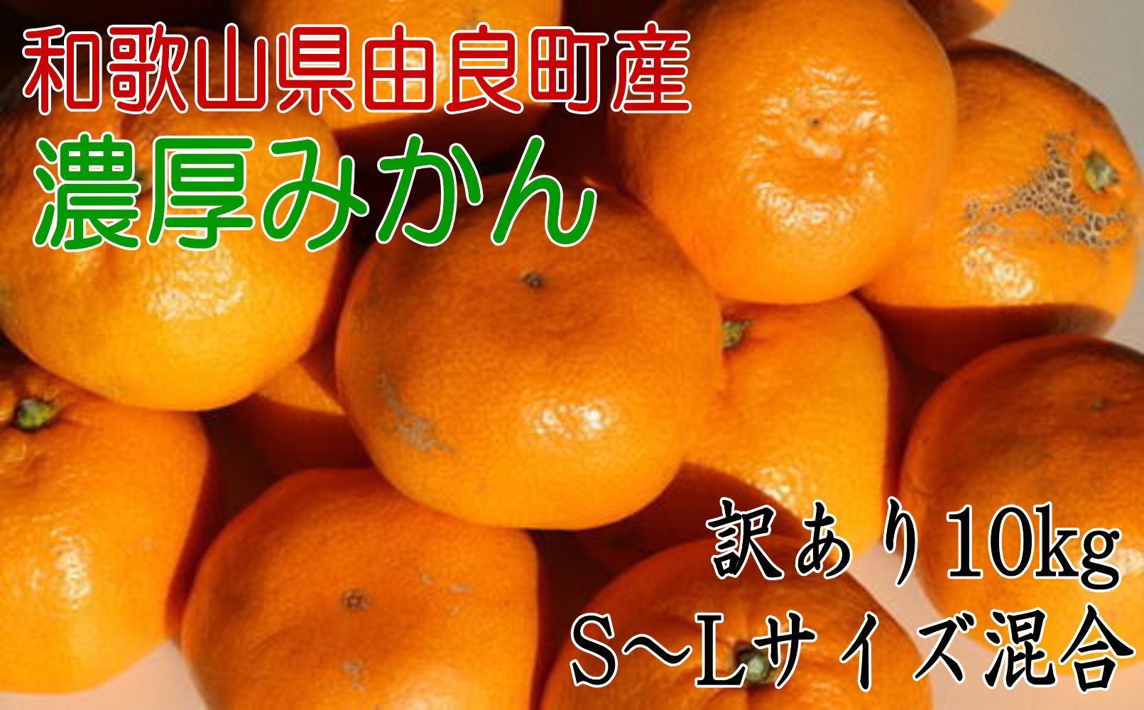 【訳あり・ご家庭用】 和歌山由良町産のみかん 約10kg サイズ混合 ［TM201］