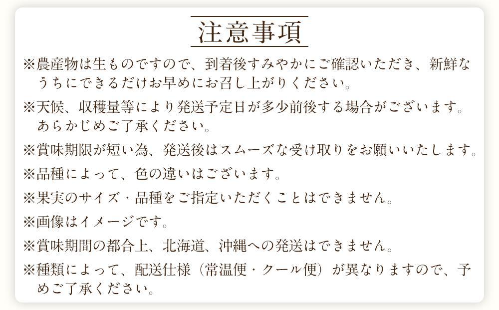 定期便全3回 和歌山の人気の夏のフルーツをお届け！ ［TM204］