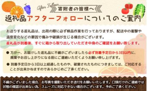 和歌山由良町産さつきはっさく 約10kg 赤秀・青秀サイズ混合 【訳あり ご家庭用 キズあり】 【sml139】