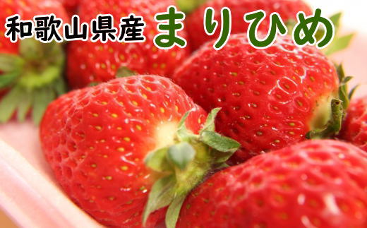 和歌山県産ブランドいちご「まりひめ」約300g×2パック入り★2025年1月中旬～2025年2月下旬ごろ発送予定（お届け日指定不可）【tec964】