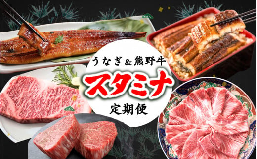 【全3回】－松－ 国産うなぎ＆熊野牛 スタミナ定期便 / 定期便 鰻 牛肉 サーロイン シャトーブリアン ヒレ ロース 蒲焼 蒲焼き 霜降り 希少 うな重 うな丼 ひつまぶし ステーキ すき焼き しゃぶしゃぶ 人気 贈答 贈り物 ギフト プレゼント お祝い 冷凍便 クール便 【tkb365】