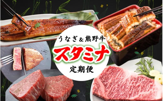 【全2回】－竹－ 国産うなぎ＆熊野牛 スタミナ定期便 / 定期便 鰻 牛肉 サーロイン シャトーブリアン ヒレ 蒲焼 蒲焼き 霜降り 希少 うな重 うな丼 ひつまぶし ステーキ 人気 贈答 贈り物 ギフト プレゼント お祝い 冷凍便 クール便 【tkb364】