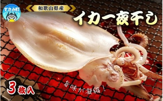 すさみ町産　スルメイカの一夜干し 3枚入り(1匹あたり140g)  / 海鮮 魚介 干物 おつまみ アテ 肴 肉厚 スルメイカ ゲソ 使い切り 冷凍【scp115】