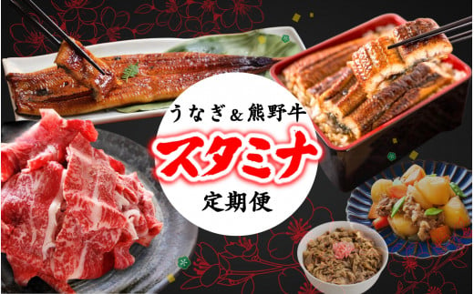 【全2回】－梅－ 国産うなぎ＆熊野牛 スタミナ定期便 / 定期便 鰻 牛肉 蒲焼 蒲焼き 霜降り 赤身 うな重 うな丼 ひつまぶし すき焼き しゃぶしゃぶ 牛丼 肉じゃが おかず 普段使い 人気 贈答 贈り物 ギフト プレゼント お祝い 冷凍便 クール便 【tkb363】