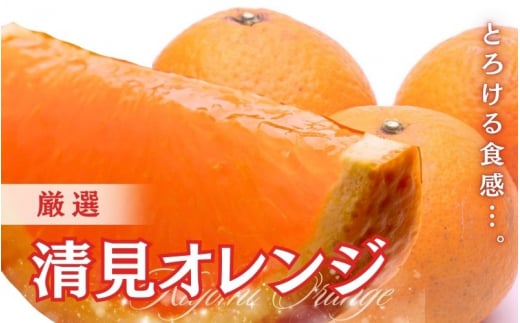 ＜2月より発送＞厳選 清見オレンジ1.5kg+45g（傷み補償分）【光センサー食頃出荷】【樹上完熟きよみオレンジ・清見タンゴール・清美】 ※北海道・沖縄・離島への配送不可【ikd196】