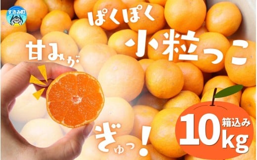 温州みかん 「小粒っこ」 10kg※箱込み (極早生・早生・中生・晩稲)【2S～3Sサイズおまかせ】【2025年10月中旬～2026年1月下旬までに順次発送】＜味好農園＞/温州 みかん 小玉 蜜柑 柑橘 みかん 極早生 早生 中生 晩稲 小粒 果物 フルーツ 【agy006A】