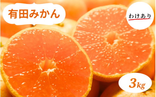 有田みかん 3kg 【訳あり 家庭用】※2026年10月中旬-2026年1月中旬頃に順次発送予定（お届け日指定不可)【smt008A】