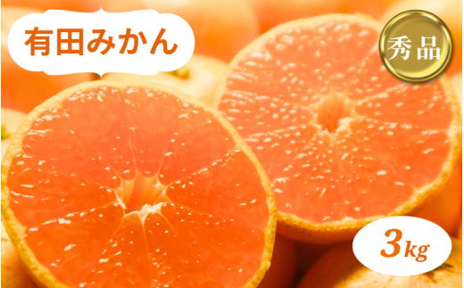 有田みかん 3kg 秀品 ※2026年10月中旬-2026年1月中旬頃に順次発送予定（お届け日指定不可)【smt007B】