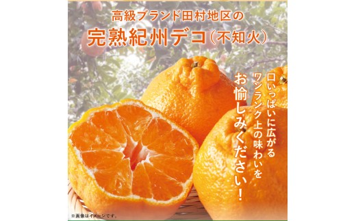 高級ブランド田村の完熟紀州デコ(不知火)約8kg＜2027年3月から順次発送＞【uot867】