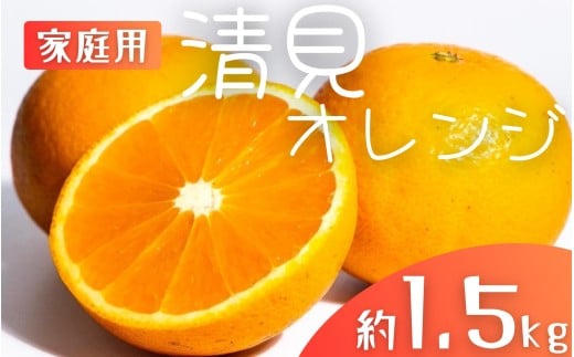 【先行予約】【家庭用】 森本農園の手選別 清見オレンジ 約1.5kg 和歌山県産 サイズ混合 ※2026年2月上旬～5月中旬頃順次発送 / きよみ 清見 柑橘 ご家庭用 期間限定 由良町 果物 フルーツ 和歌山県【mrmt021A】