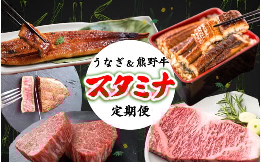 【全2回】－竹－ 国産うなぎ＆熊野牛 スタミナ定期便 / 定期便 鰻 牛肉 プレゼント お祝い 冷凍便 クール便 【tkb364】