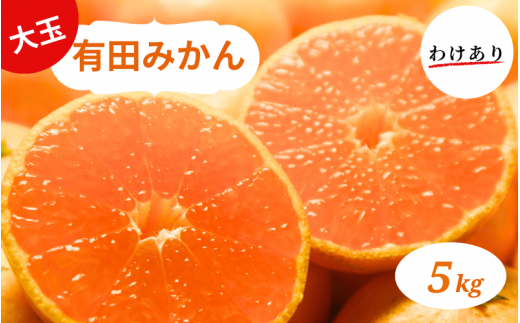 和歌山県産 有田みかん 大玉5kg 2L-3L 訳あり ※2026年10月中旬-2026年1月中旬頃に順次発送予定（お届け日指定不可)【smt001A】
