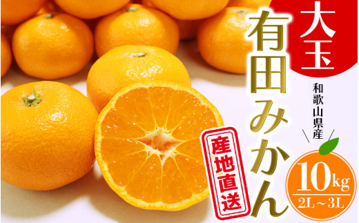 【先行予約】 ＼ みかんの名産地 和歌山県産／ 農家直送 大玉 有田みかん 10kg （2L～3L） ひとつひとつ手選別で厳選【2026年11月下旬～2027年1月中旬頃発送予定】/ みかん 有田みかん 有田 大玉 柑橘 和歌山【hdm001-2A】