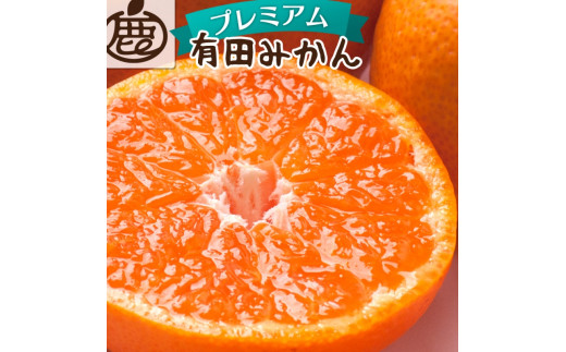 【先行予約】プレミアム有田みかん 10kg+250g（傷み補償分） ※11月より発送(完熟)【光センサー選果】 ※北海道・沖縄・離島配送不可 /みかん ミカン 果物 果実 有田 和歌山 フルーツ オレンジ【ikd215A】