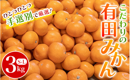 有田みかん 手選別 こだわりの和歌山県産 3kg (S～Lサイズ) ※2027年3月中旬～4月下旬頃順次発送予定　/生産者直送 みかん フルーツ 柑橘 果物 蜜柑【hdm004A】