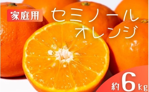 【先行予約】【ご家庭用】手選別 セミノールオレンジ 約6kg 和歌山県産 2S~2Lサイズ混合※2026年4月中旬～5月中旬頃に順次発送【mrmt036】