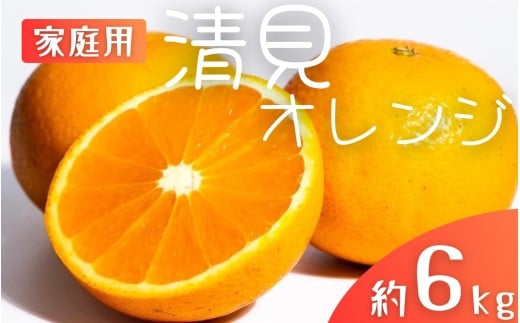 【先行予約】【家庭用】 森本農園の手選別 清見オレンジ 約6kg 和歌山県産 サイズ混合 ※2026年2月上旬～5月中旬頃順次発送 / きよみ 清見 柑橘 ご家庭用 期間限定 由良町 果物 フルーツ 和歌山県【mrmt038A】