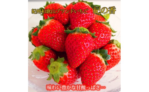 【来シーズン先行予約】紀州和歌山ブランドいちご「紀の香」約250g×4P※2027年1月～2027年3月頃順次発送（お届け日指定不可）【uot868】