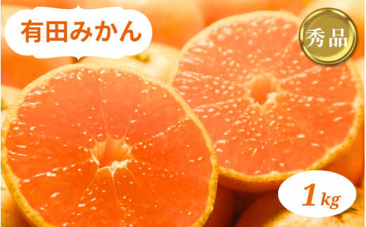 和歌山県産 有田みかん 1kg 秀品 ※2026年10月中旬-2026年1月中旬頃に順次発送予定（お届け日指定不可)【smt003A】