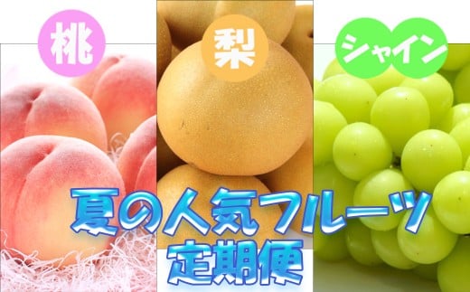 定期便全3回 【7月・8月・9月発送】 和歌山の夏の人気フルーツをお届け（桃・梨・シャイン）【tkb429】