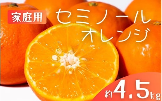 【先行予約】【ご家庭用】手選別 セミノールオレンジ 約4.5kg 和歌山県産 2S~2Lサイズ混合※2026年4月中旬～5月中旬頃に順次発送【mrmt027】