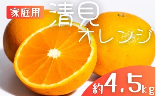 【先行予約】【家庭用】 森本農園の手選別 清見オレンジ 約4.5kg 和歌山県産 サイズ混合 ※2026年2月上旬～5月中旬頃順次発送 / きよみ 清見 柑橘 ご家庭用 期間限定 由良町 果物 フルーツ 和歌山県【mrmt022A】