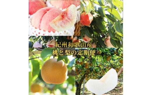 縲仙ィ2蝗槭代°縺、繧峨℃逕コ縺ョ繝輔Ν繝シ繝螳壽悄萓ソ繝溘ルシ域。繝サ譴ィシ峨8譛医サ9譛医 縲腎kb427縲