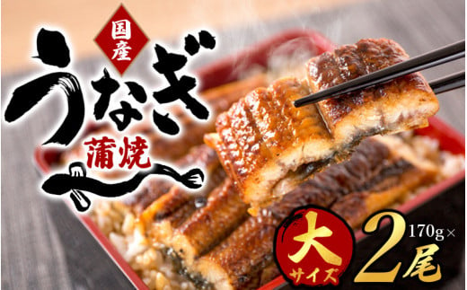 【全2回】－竹－ 国産うなぎ＆熊野牛 スタミナ定期便 / 定期便 鰻 牛肉 サーロイン シャトーブリアン ヒレ 蒲焼 蒲焼き 霜降り 希少 うな重 うな丼 ひつまぶし ステーキ 人気 贈答 贈り物 ギフト プレゼント お祝い 冷凍便 クール便 【tkb364】