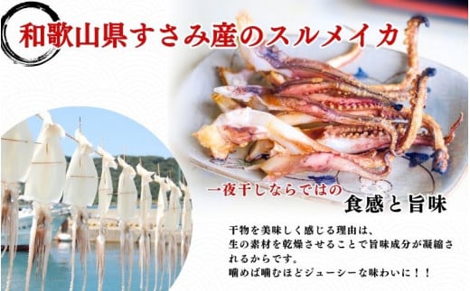 すさみ町産　スルメイカの一夜干し 3枚入り(1匹あたり140g)  / 海鮮 魚介 干物 おつまみ アテ 肴 肉厚 スルメイカ ゲソ 使い切り 冷凍【scp115】