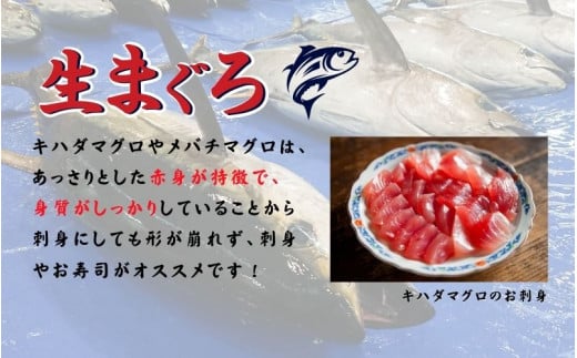 【訳あり】和歌山県すさみ産 天然生マグロ 冷凍 生 計1kg（約200g×5パック）　まぐろ マグロ 鮪 赤身 海鮮丼 鮪 寿司 海鮮  小分け 刺身 和歌山 すさみ町 キハダマグロ メバチマグロ 大容量  【scp003】