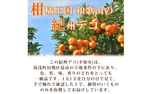 高級ブランド田村の完熟紀州デコ(不知火)約8kg＜2027年3月から順次発送＞【uot867】