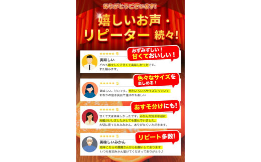 【2024年11月発送予約分】＼光センサー選別／ 【農家直送】【家庭用】こだわりの有田みかん 約6kg＋250g(傷み補償分) 先行予約 有機質肥料100% サイズ混合 【11月発送】みかん ミカン 有田みかん 温州みかん 柑橘 有田 和歌山 ※北海道・沖縄・離島配送不可 【nuk102-1】