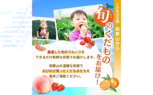 【全12回定期便】 わかやま旬のくだもの定期便 【Ｓ】 （配送日時指定不可）  / 定期便 フルーツ みかん いちご イチゴ 清見オレンジ セミノール 河内晩柑 カラマンダリン すいか 桃 ジュース みかん 柿 完熟みかん【ard-tkb901A】