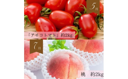 【全6回定期便】奇数月にお届け♪旬の野菜とフルーツ定期便！キウイ・清見オレンジ・アイコトマト・桃・ピオーネ・富有柿【tkb357】