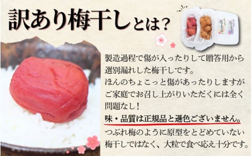 梅干し 食べ比べ 紀州南高梅干し 1㎏ (はちみつ500g・しそ漬500g) ご家庭用 【khs122】