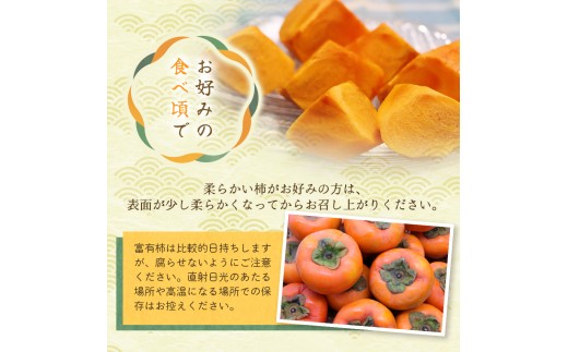 ã2026幎çºéãå¯ææ¿ èµ€ç§å 倧ç 6åïœ8åå
¥ ãã ãã蟲家å³éžã2026幎10ææ«ãã11ææ«é ã«é 次çºéäºå®ã / æ¿ ãã«ãŒã æç© ãã åæå±± ãã€ãã 蟲家çŽé èŽç ãkgr043ã